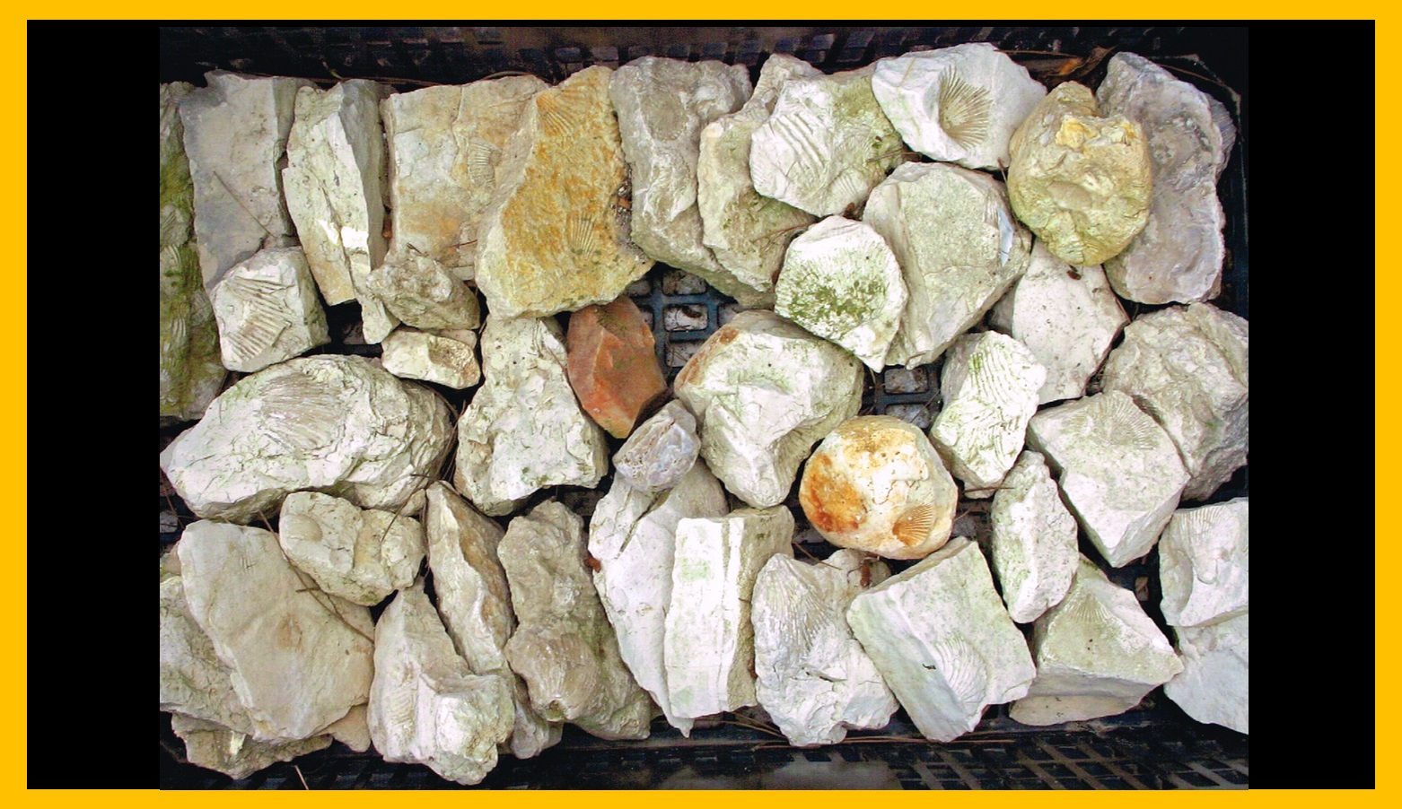 Piedra 11