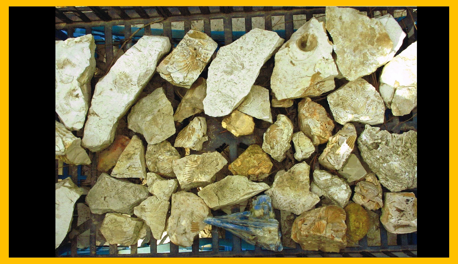 Piedra 12