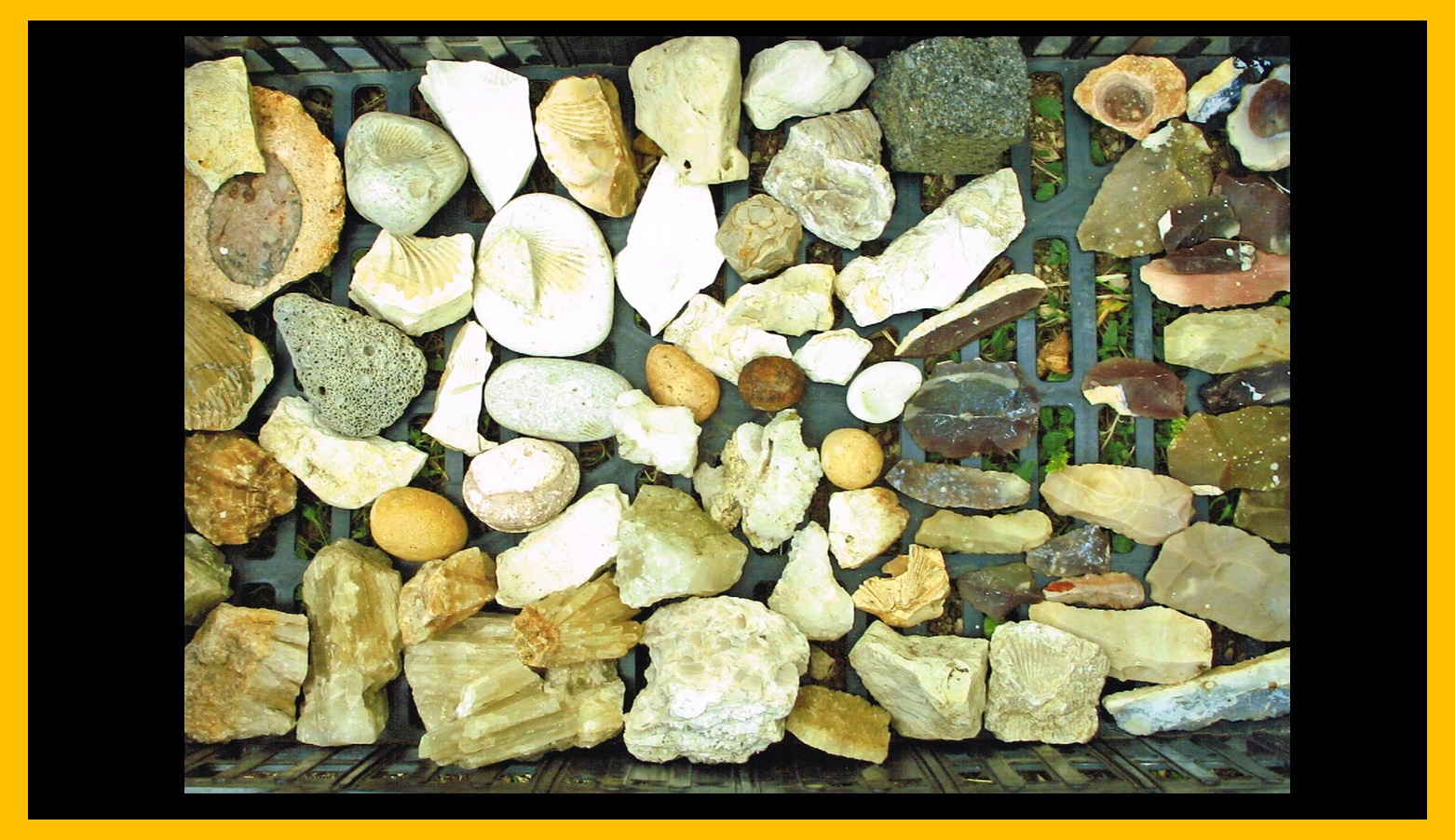 Piedra 13
