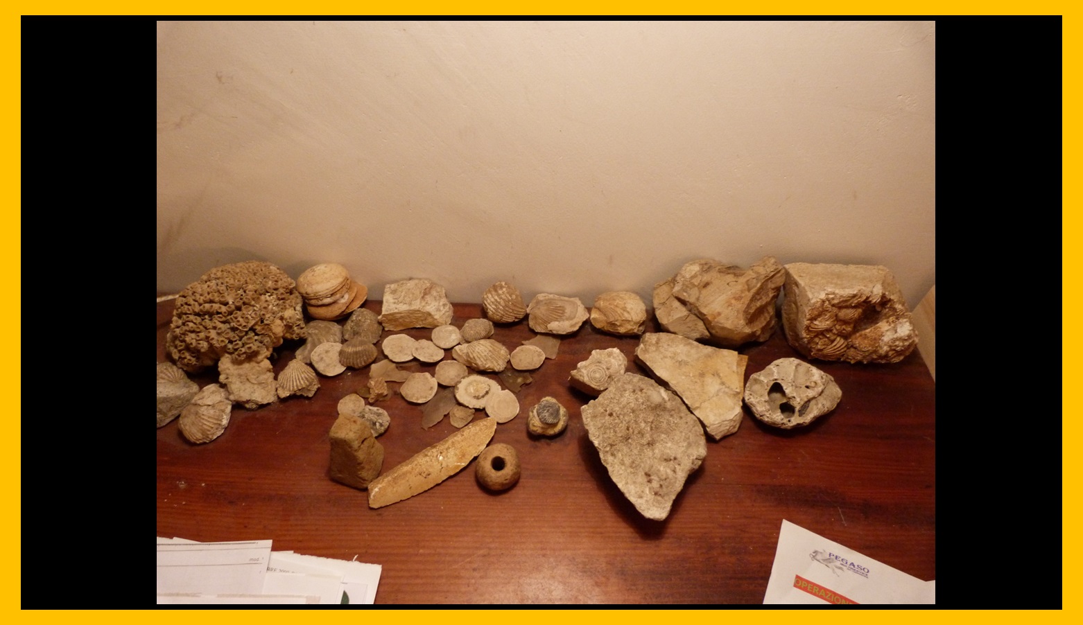 Piedra 14