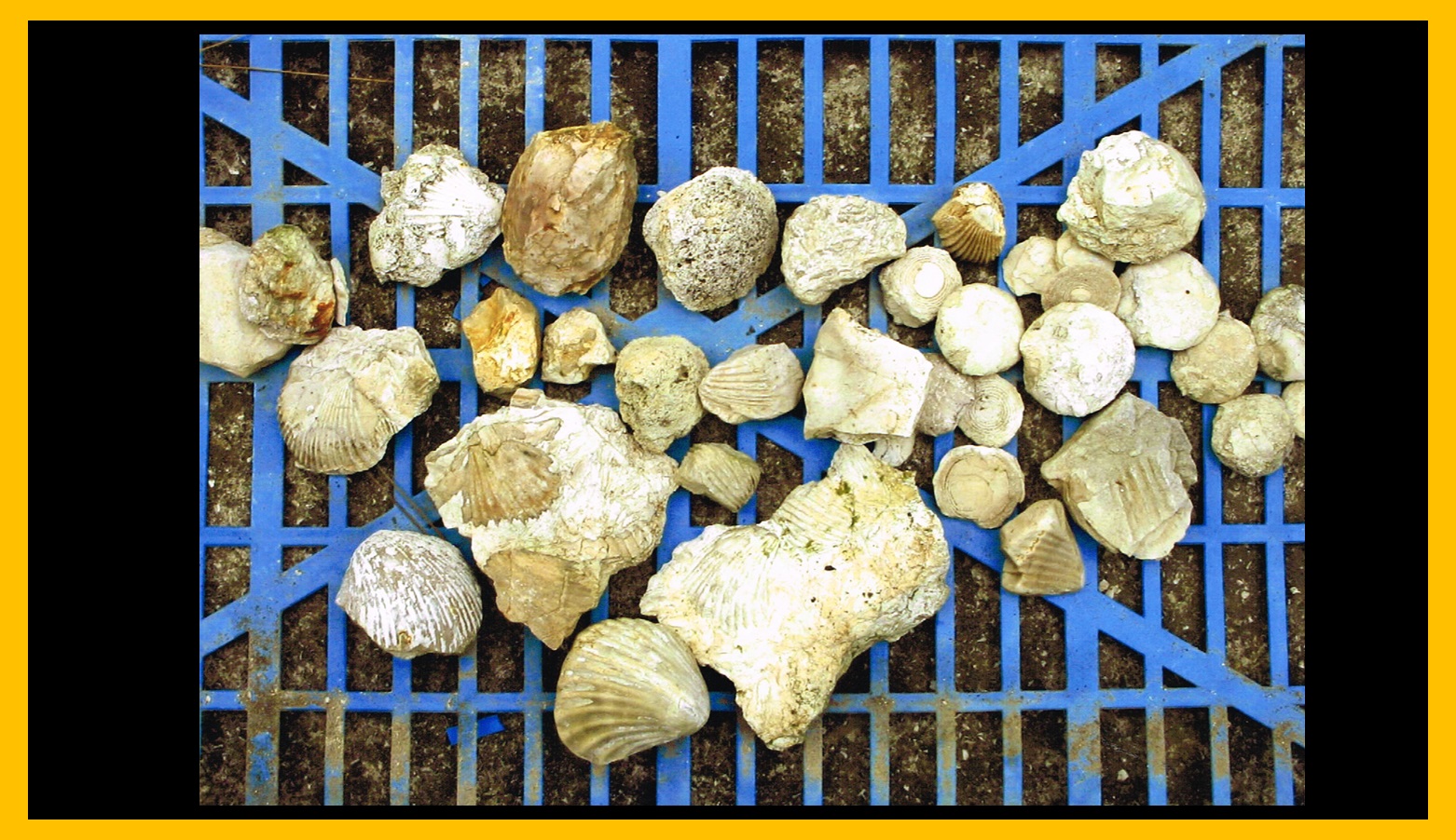 Piedra 3