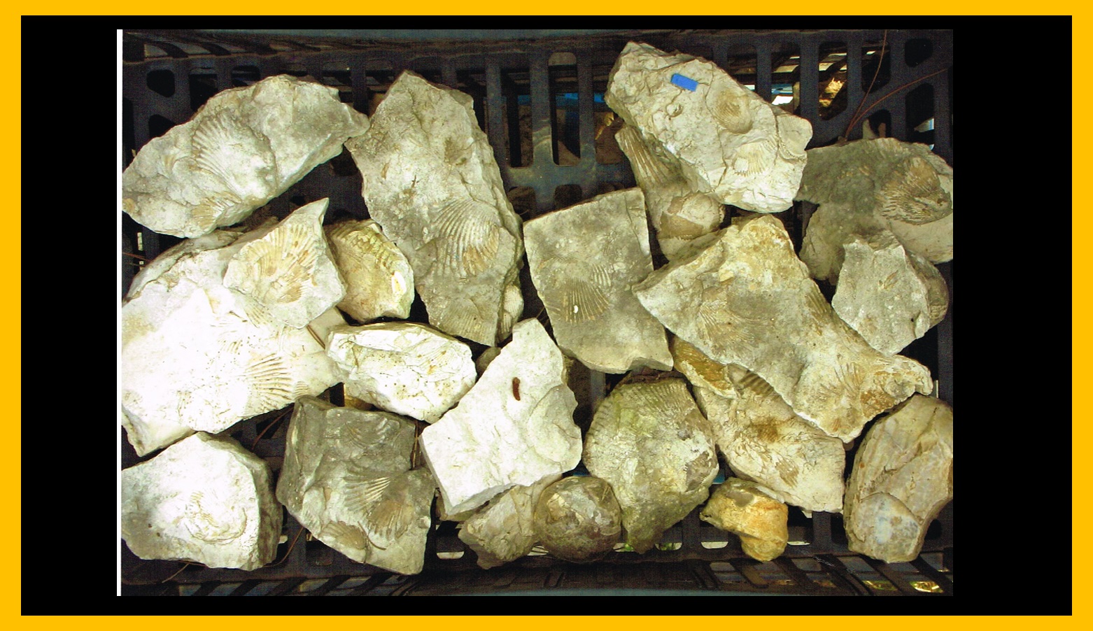 Piedra 4