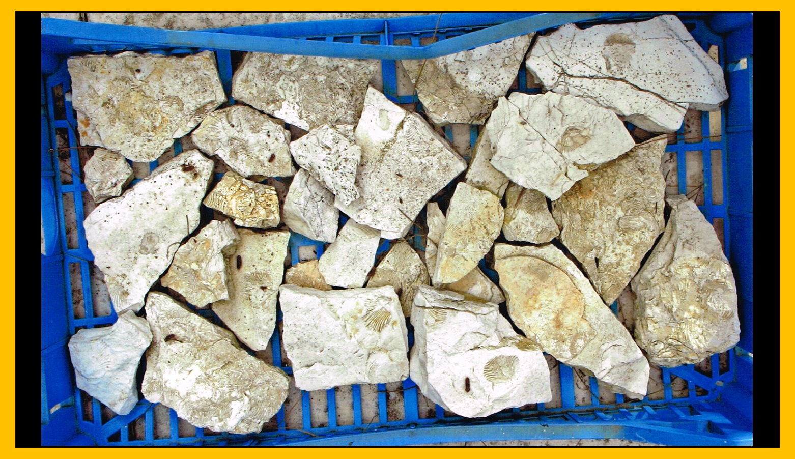 Piedra 5