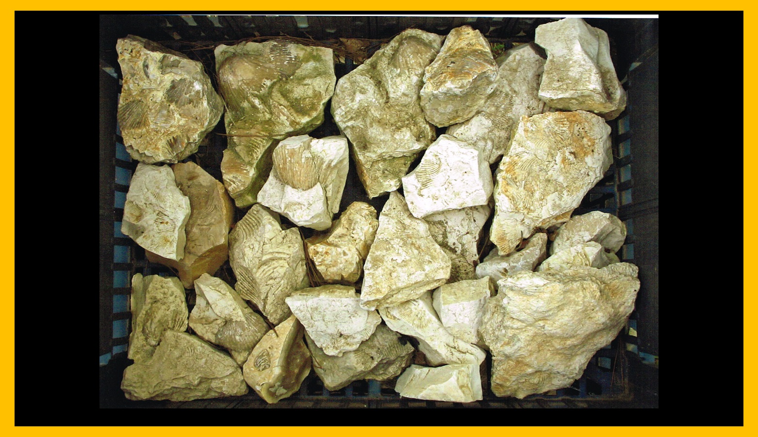 Piedra 6
