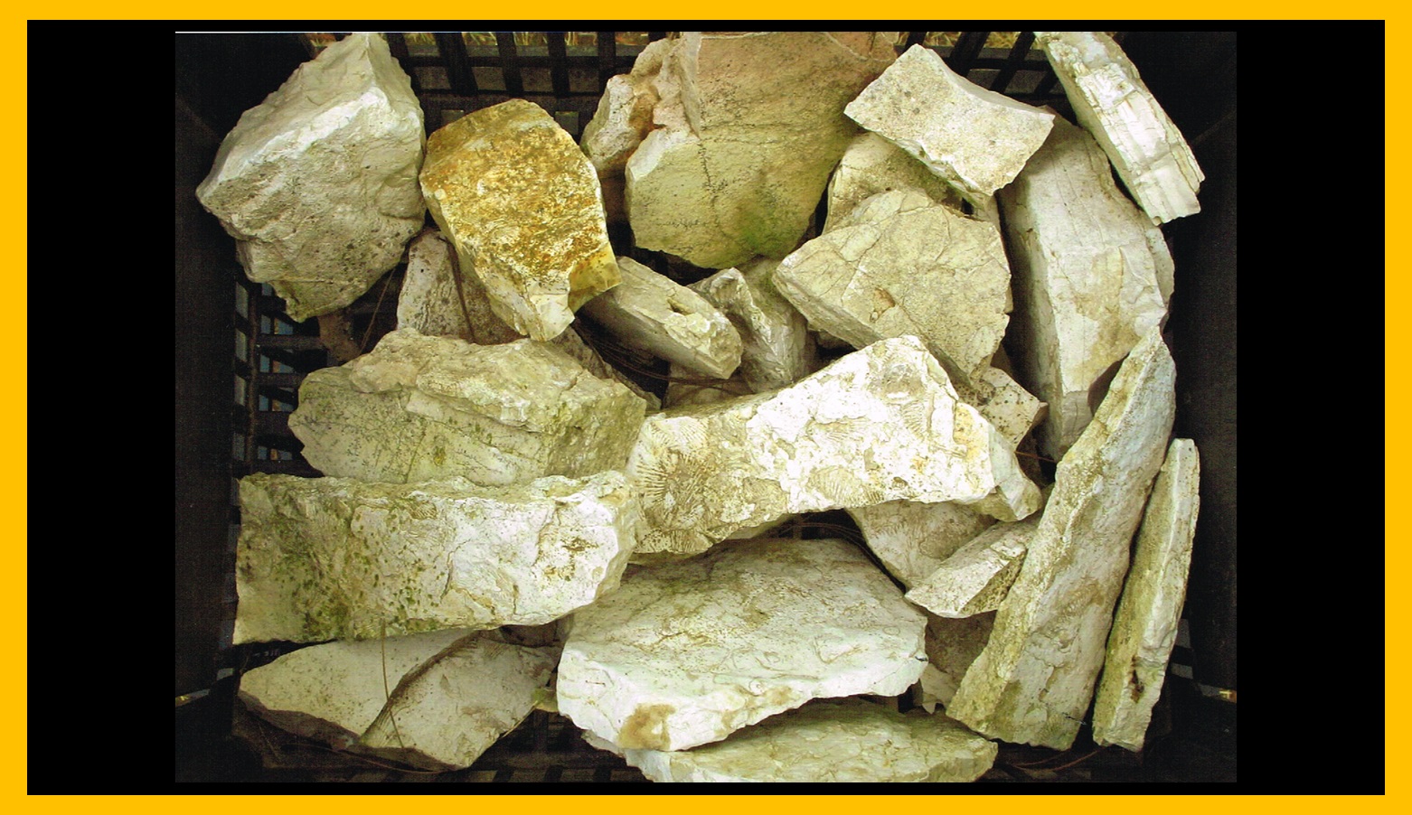 Piedra 7