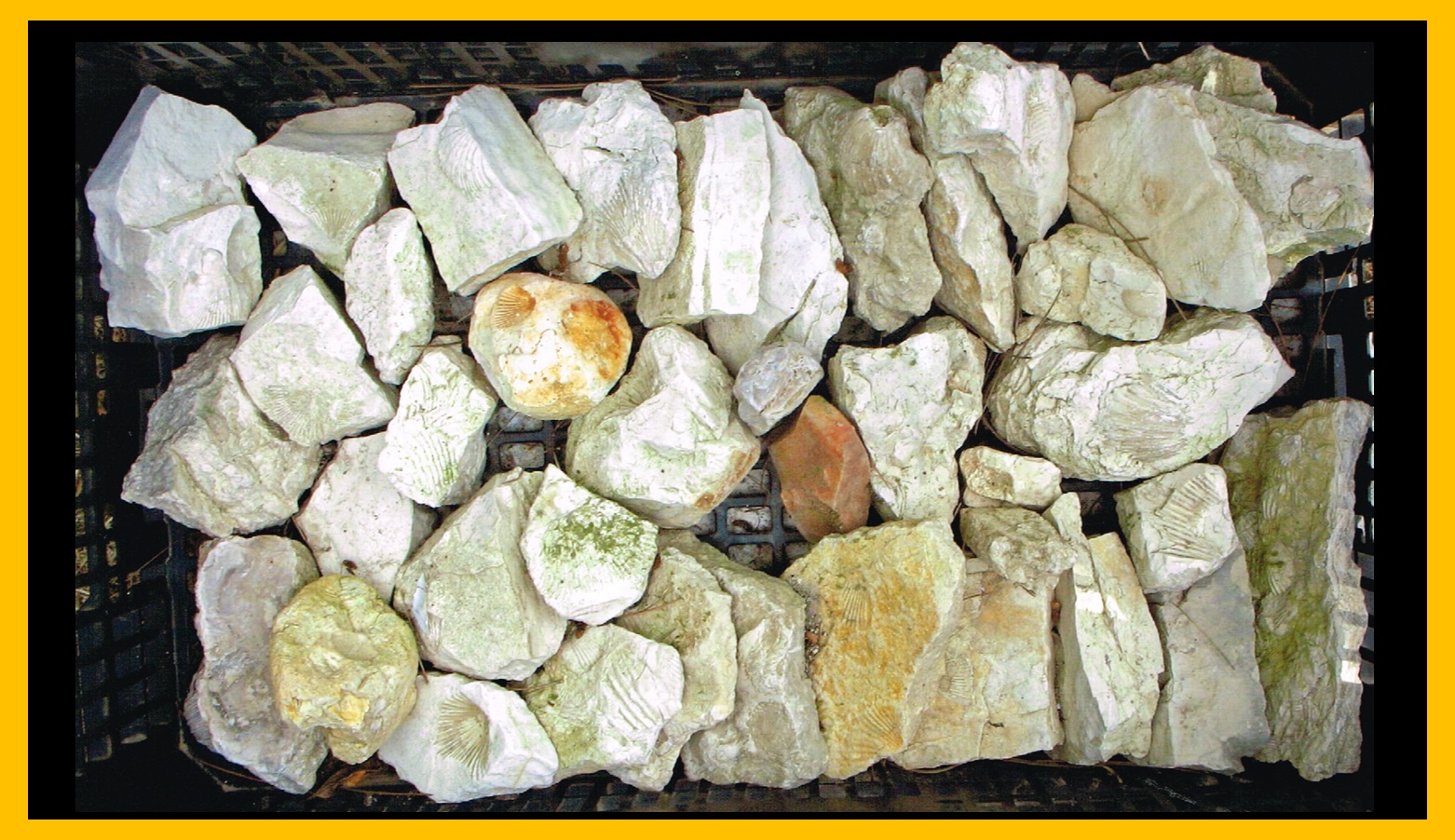 Piedra 9