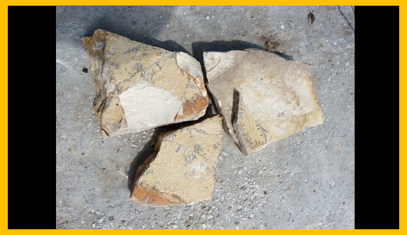 pietra 4