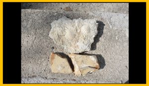 pietra 5